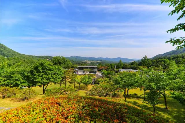 이승*** 님의 수상작 대표 사진
