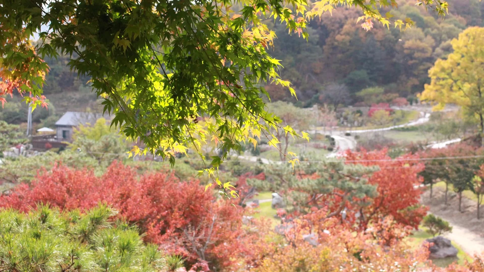 단체예약
